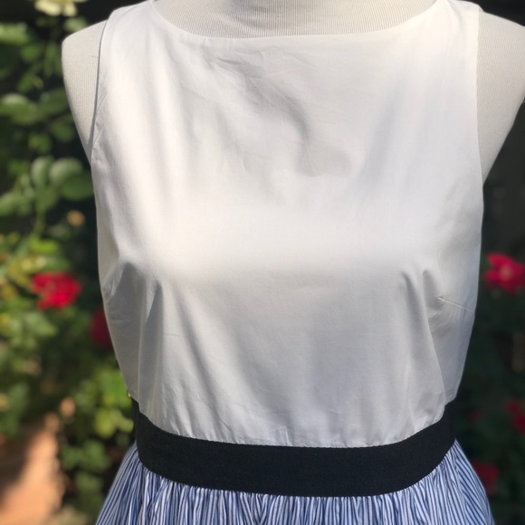 LOFT Cotton Sleeveless Sheath - Picture 3 of 6